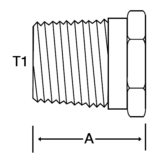 1/4 MBSPT HEX PLUG