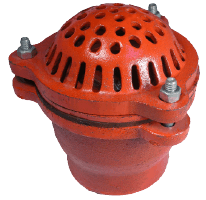 2" Painted Malleable Iron Foot Valve